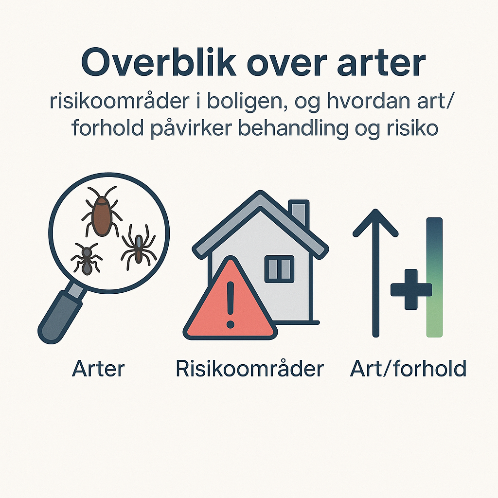 Borebillearter i Danmark: hvilke er værst, og hvor angriber de typisk?